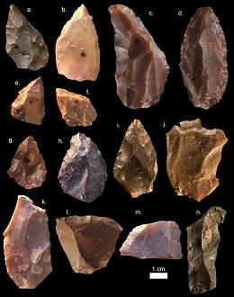 Click image for larger version  Name:	Levallois.jpg Views:	1 Size:	71.0 KB ID:	10007